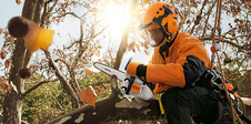 STIHL MS 151 TC-E