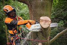 Výkonná řetězová akumulátorová pila STIHL s elektronickým řídicím systémem